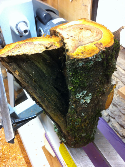 Pièce de bois de prunier brut posé sur un tour à bois