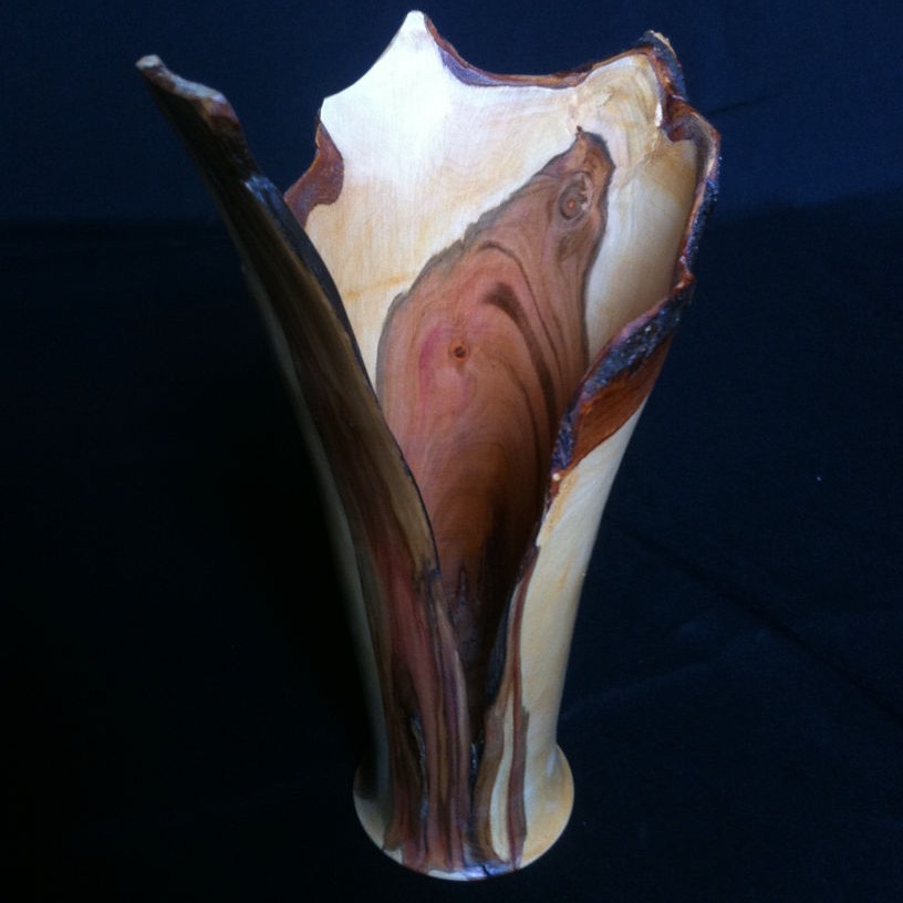 Vase en prunier, bords naturels
