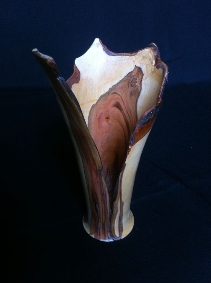 Vase en prunier