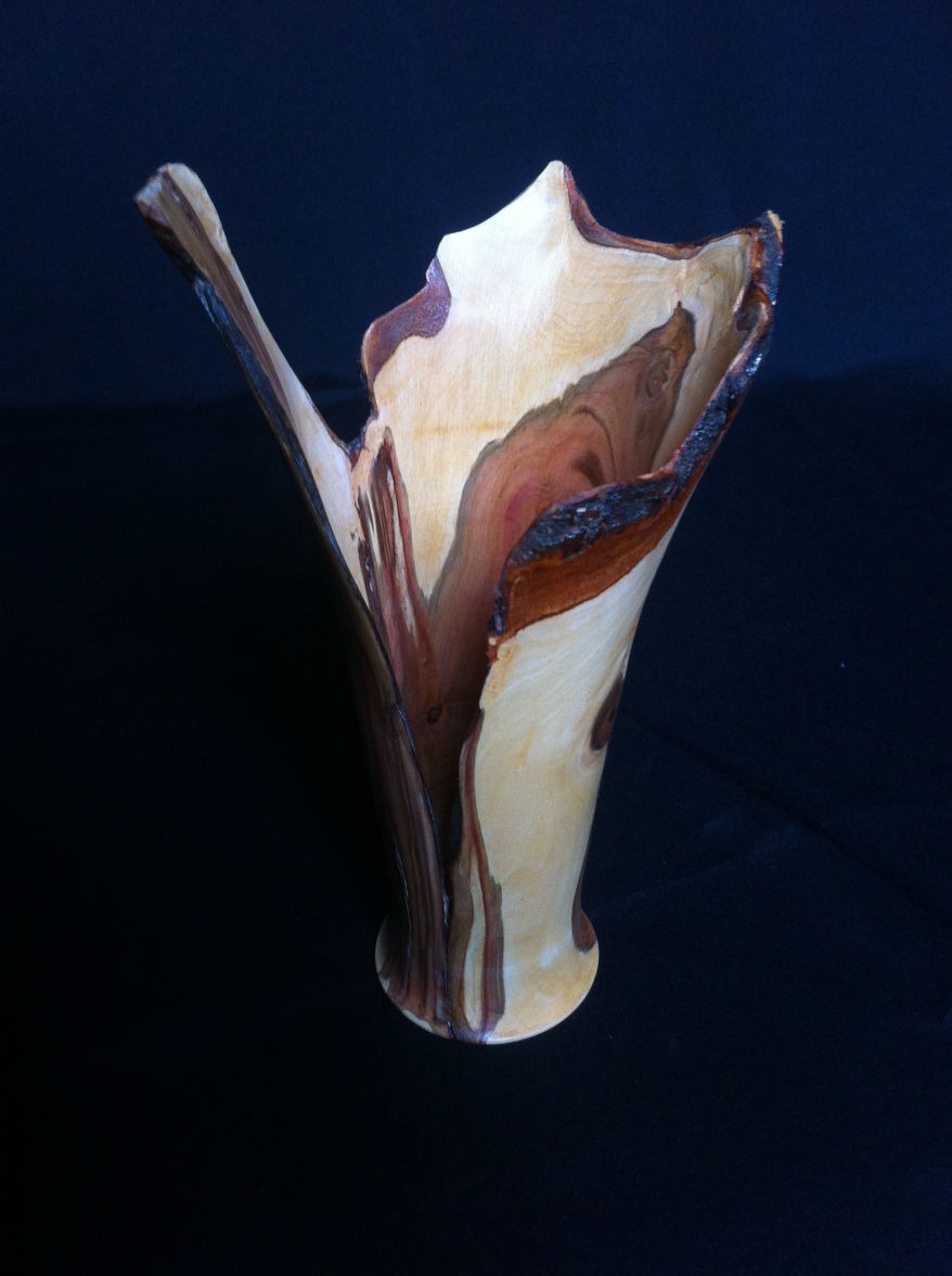 Vase en prunier