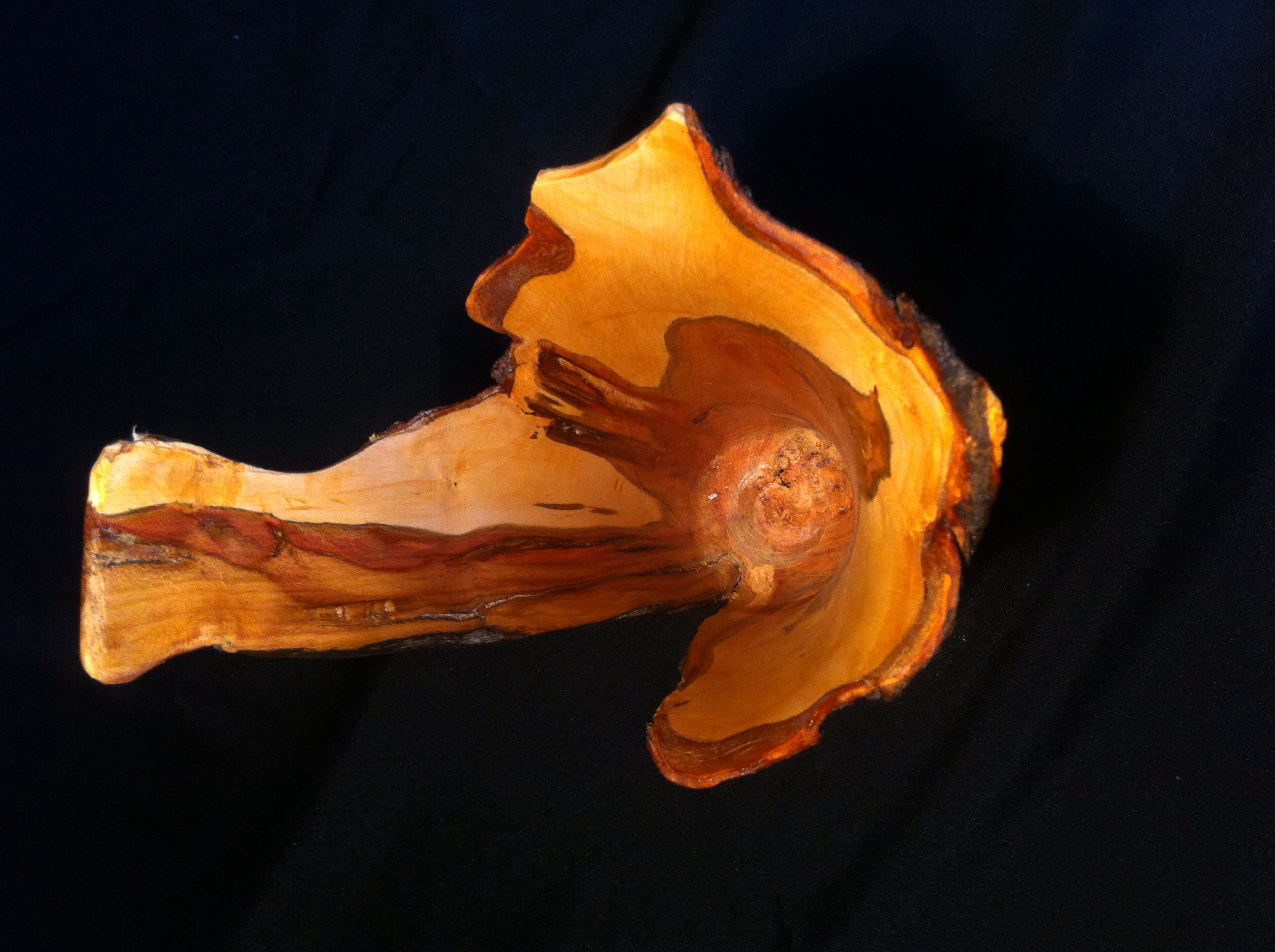 Vase en bois de prunier