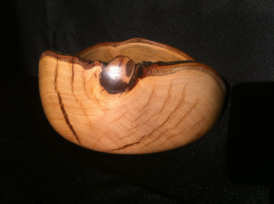 Coupe en bois de laurier