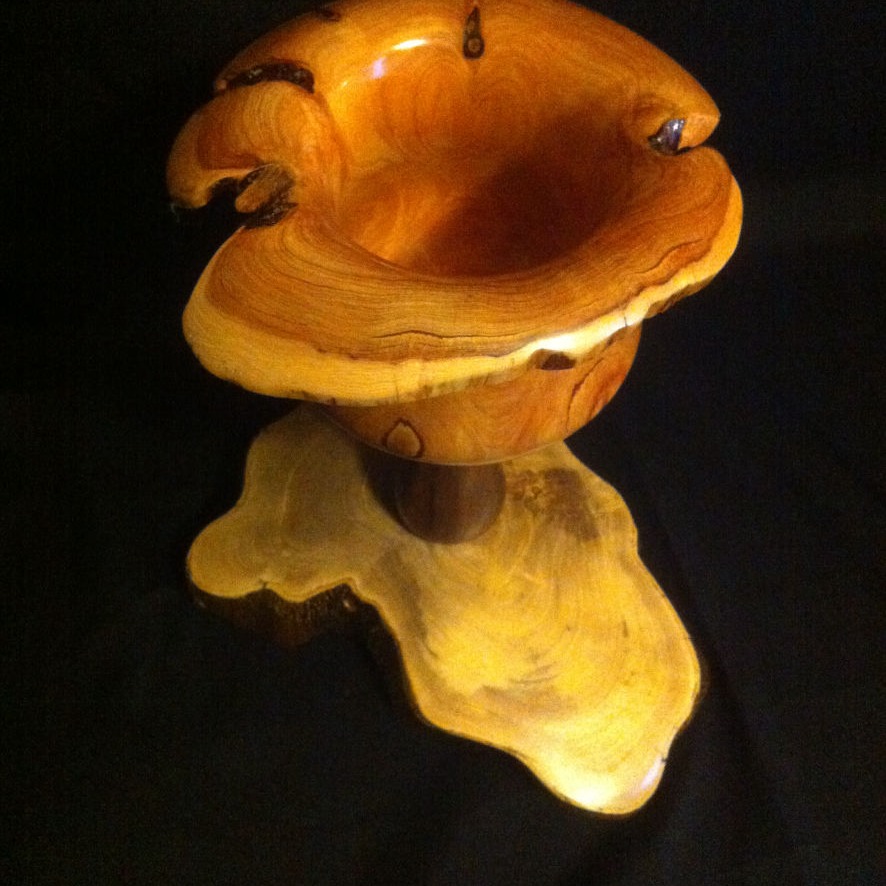 Vase en oranger et cyprès